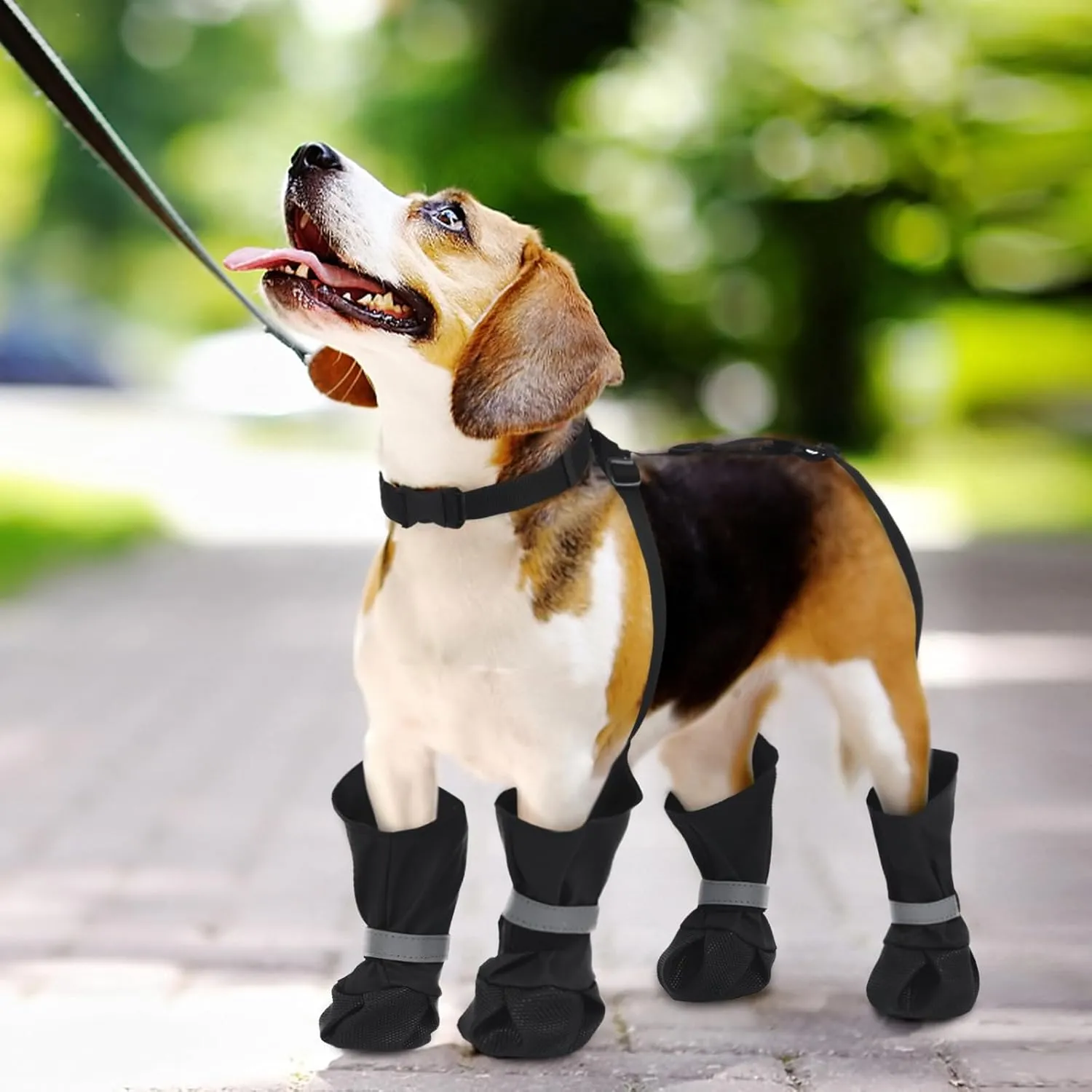 Dog Suspender Boots, Anti-Slip & Fall Waterproof Dog Shoes Leggings, Dog Paw Protector for Small Medium Dogs, Adjustable Dog Boots Pet Shoes for Outdoor Walking Black,XS